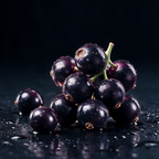 SEVVS Blackcurrant Hard Soda Ingredient Kit